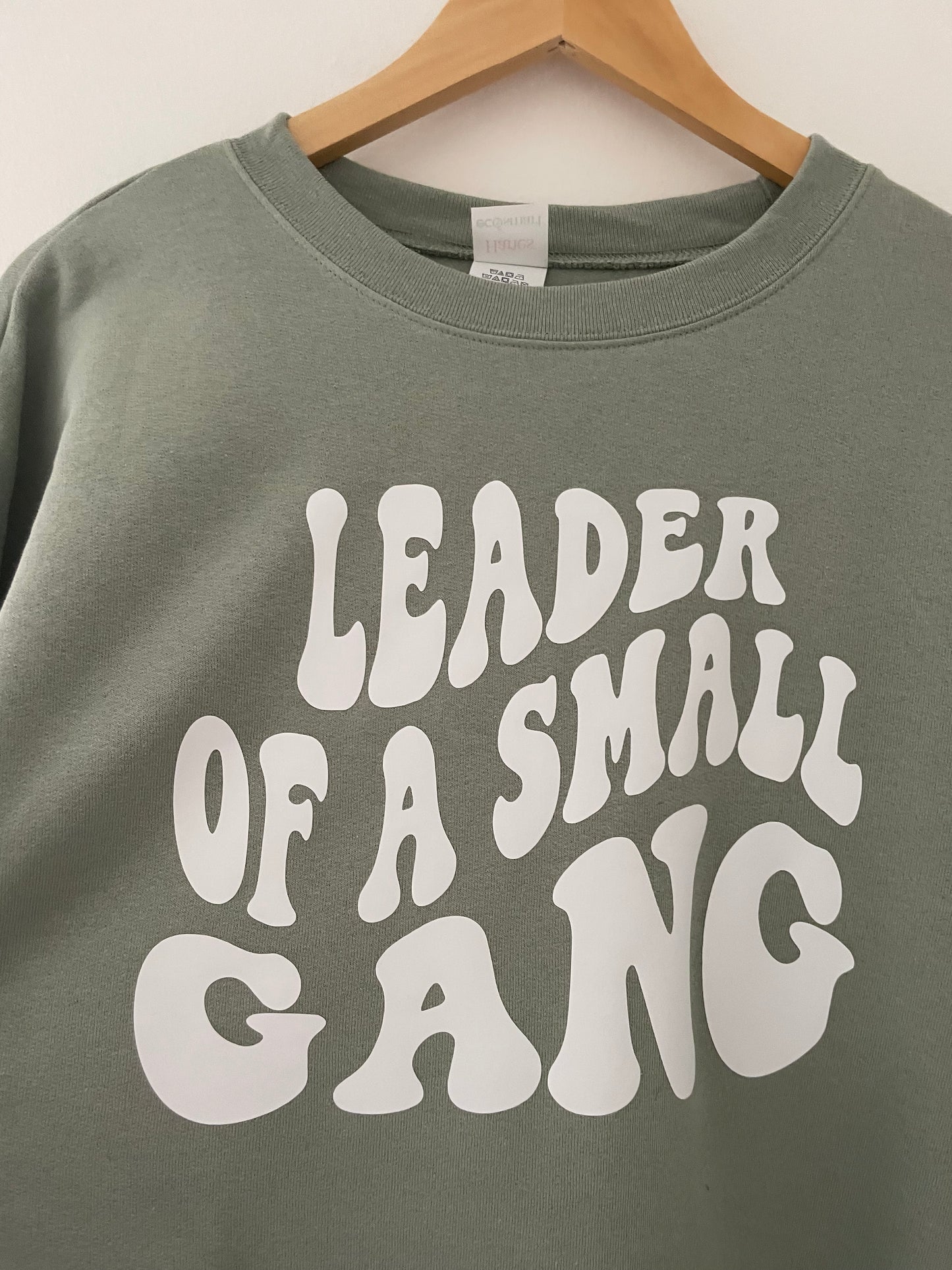 Leader of a small gang